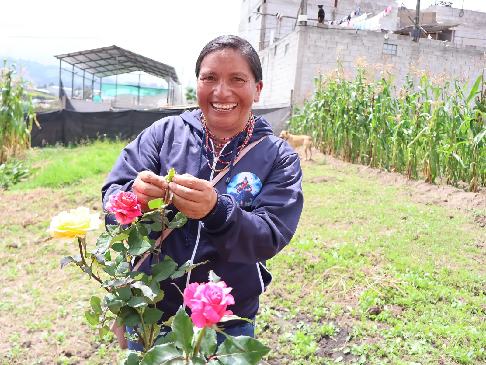 A participant of the Community Project for the Prevention of Violence Against Children and Adolescents in Pifo smiles while tending to a rose bush in a garden.